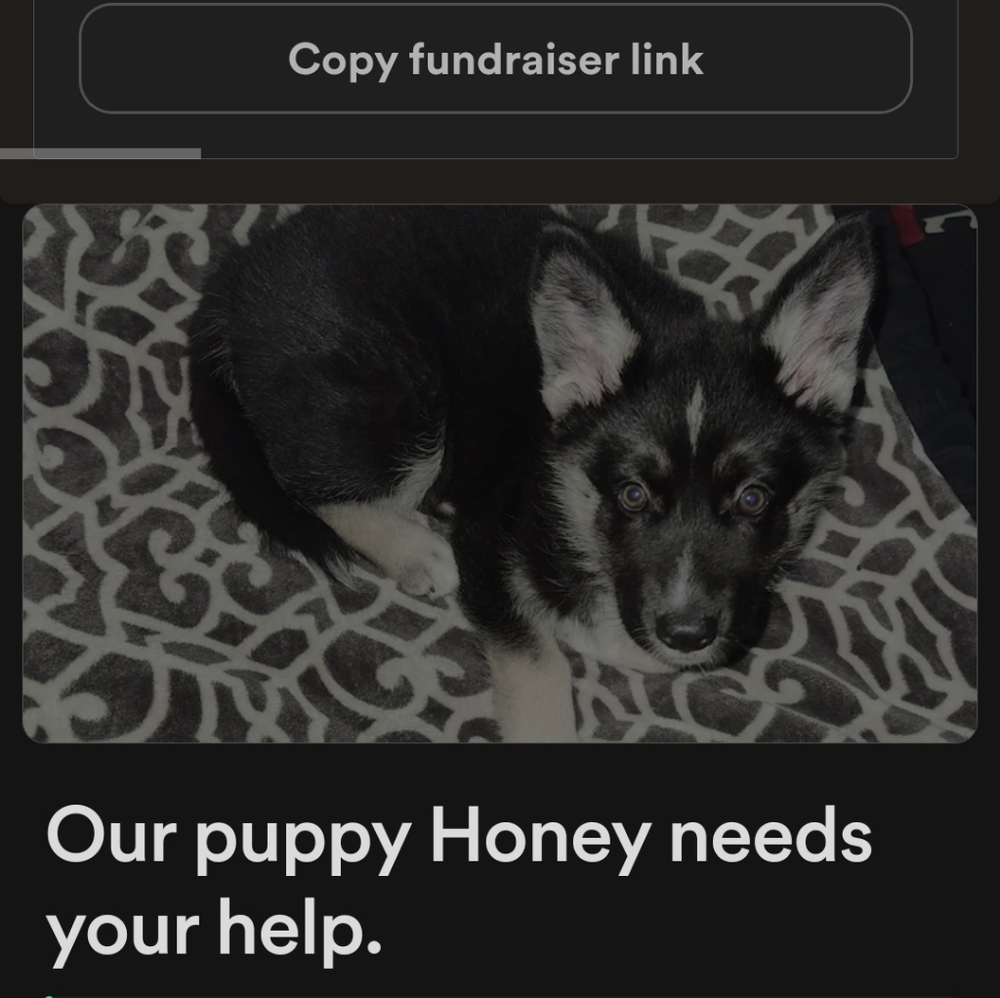 Bill has been paid off Honey needs your help